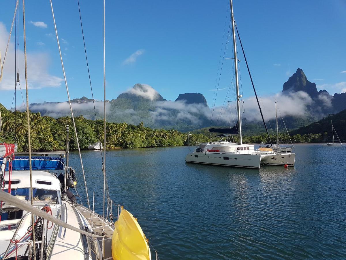 2 Nuits Insolites & 1 Excursion Voile A Bord Du Voilier Mori Ora Moorea Buitenkant foto